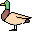 pato icon