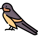 golondrina icon