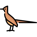 Correcaminos icon