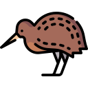 kiwi icon