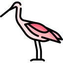 espátula icon