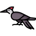 pájaro carpintero icon