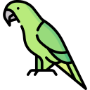 loro icon