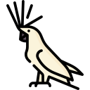 Cacatúa icon