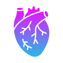 corazón icon