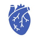 corazón icon