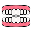 dientes icon