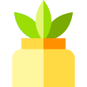 Cactus icon