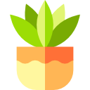 samambaia 