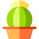 Cactus icon