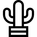 Cactus icon