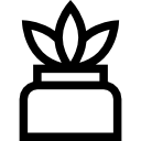 Cactus icon