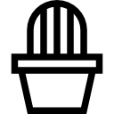Cactus icon