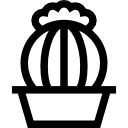 Cactus icon