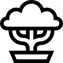 Bonsai icon