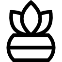 Папоротник 