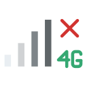 4g