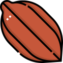 cacao icon