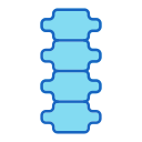 columna vertebral icon