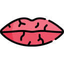 labios secos icon