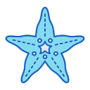 estrella de mar