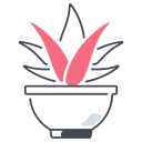 aloe