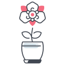 bougainvillier