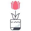 tulipanes icon