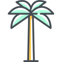 palmera icon