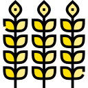 trigo icon