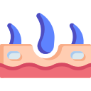 schönheit icon