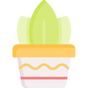 wachstum icon