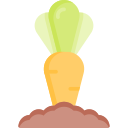 karotte icon