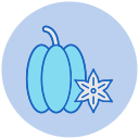 carambola icon