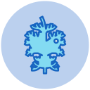 eneldo icon