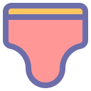 ropa icon