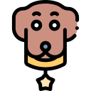 perro icon