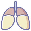 anatomy icon