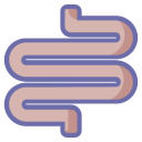 anatomy icon