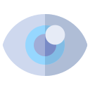 ojo icon