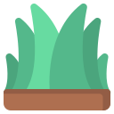 campo icon