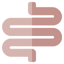 anatomy icon