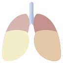 anatomy icon