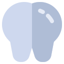 dental icon