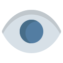 ojo icon