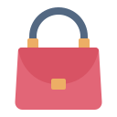 bolso icon