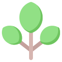 verde icon