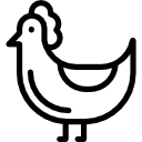 pollo icon