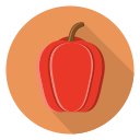 pimienta icon