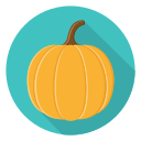 calabaza icon